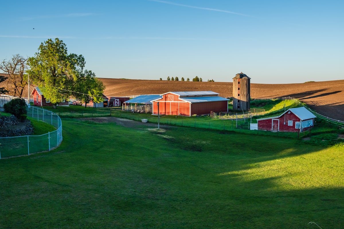 The red cider barn in low evening light, worked ground on the hill behind